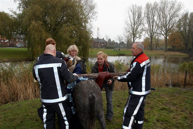 2009/273/20091101 021 Dier te water Vierbuizenmeertje.jpg